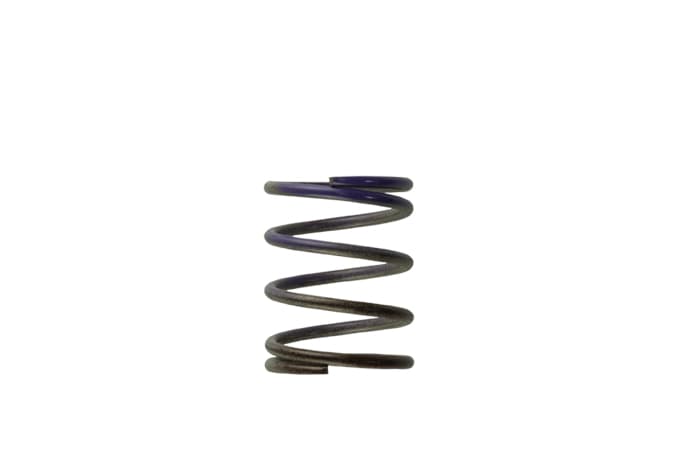 Turbosmart Gen4 / IWG WG38/40/45/50L 7PSI MIDDLE SPRING - BROWN/PURPLE (TS-0505-2003)