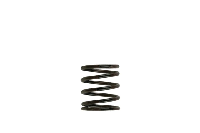 Turbosmart Gen4 / IWG WG38/40/45/50L 3PSI INNER SPRING - BROWN/BLACK (TS-0505-2001)